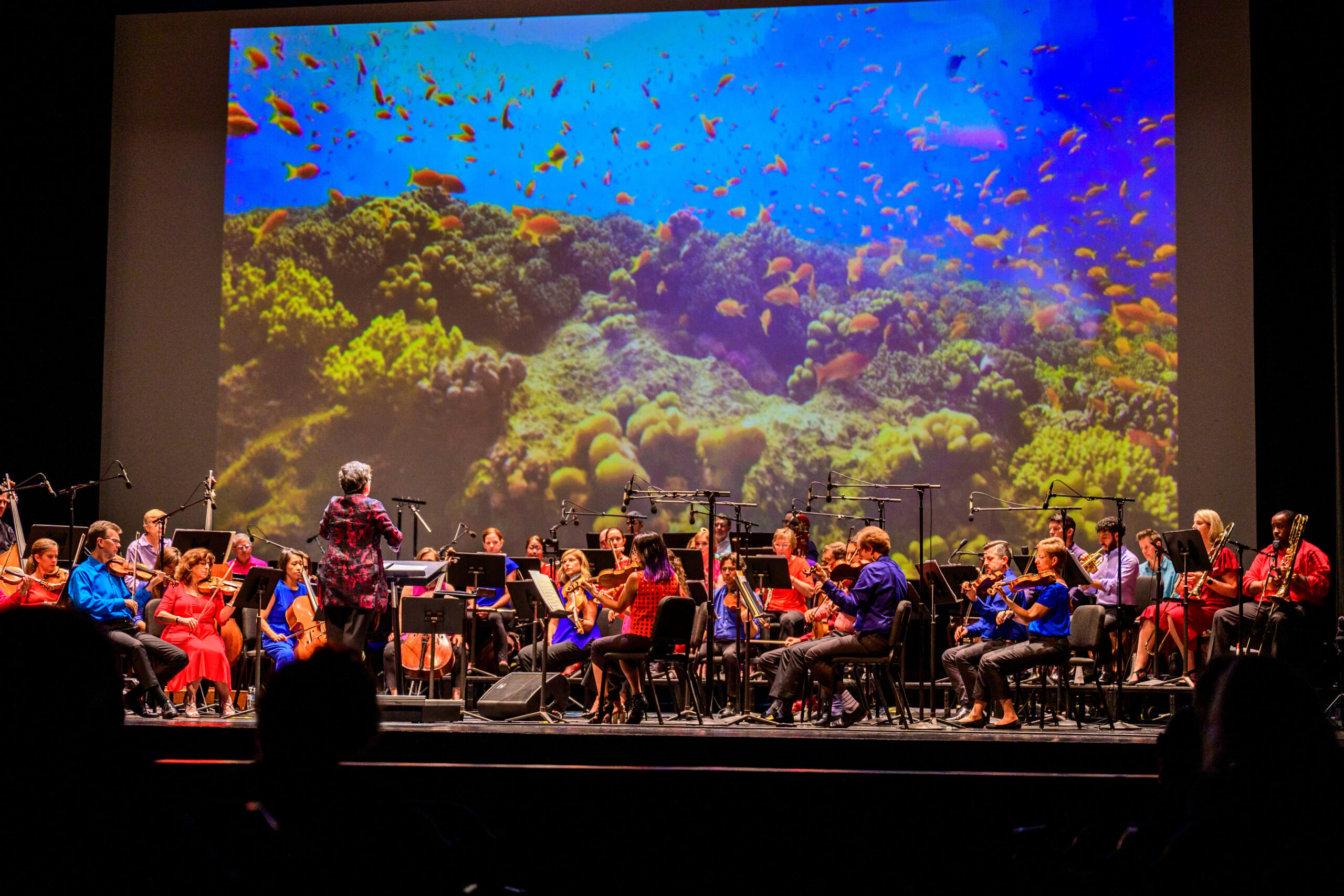 ROCO In Concert at Miller Outdoor Theatre with screen projection, 40-piece chamber orchestra