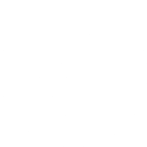 TikTok White Icon