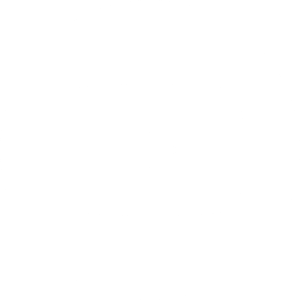 YouTube White Icon