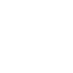 LinkedIn White Icon